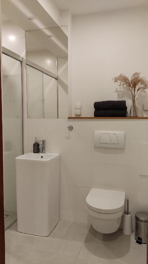 Apartamenty Ceglane Torun Exterior photo